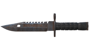 Rust Coat image