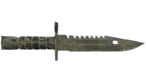 Safari Mesh image