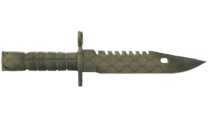 Safari Mesh image