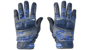 Polygon image
