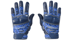 Polygon image
