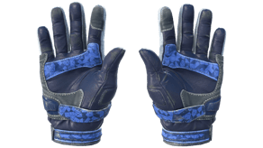Polygon image