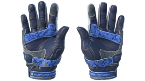 Polygon image