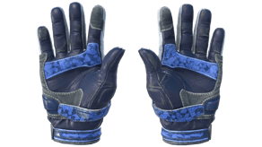 Polygon image