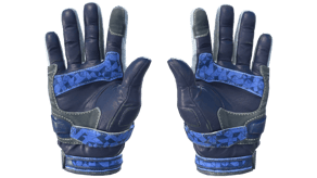 Polygon image