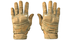 Transport image