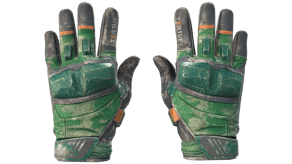 Turtle image
