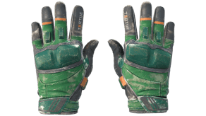 Turtle image