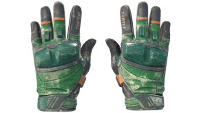 Turtle image