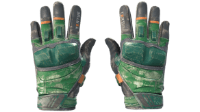 Turtle image