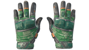 Turtle image