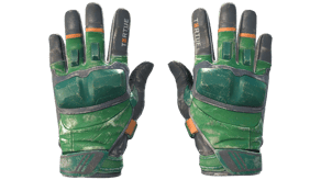 Turtle image