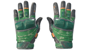 Turtle image