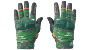 Turtle image
