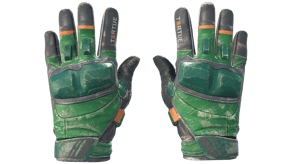 Turtle image