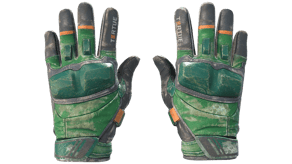 Turtle image