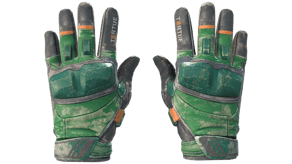 Turtle image