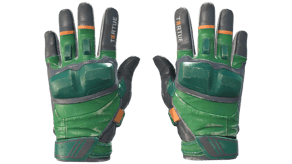 Turtle image
