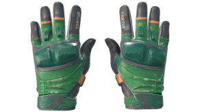 Turtle image