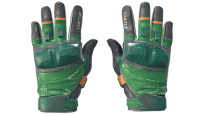 Turtle image