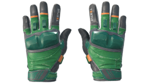 Turtle image