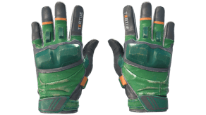 Turtle image