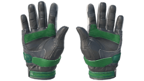 Turtle image
