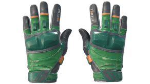 Turtle image