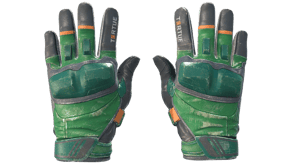 Turtle image