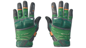 Turtle image