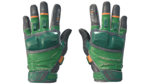 Turtle image