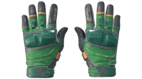 Turtle image