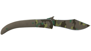 Boreal Forest image