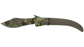 Boreal Forest image