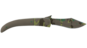 Boreal Forest image