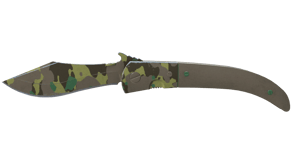 Boreal Forest image