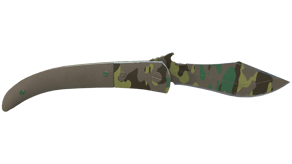 Boreal Forest image