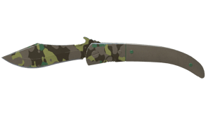 Boreal Forest image