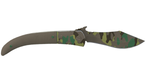 Boreal Forest image