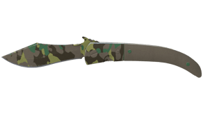 Boreal Forest image