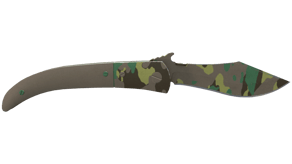 Boreal Forest image