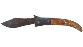 Rust Coat image