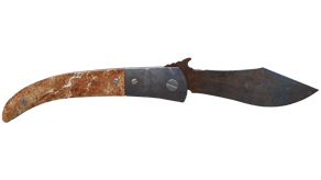 Rust Coat image