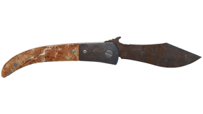 Rust Coat image