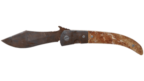 Rust Coat image