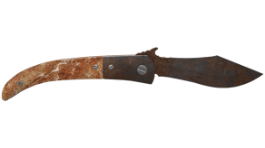 Rust Coat image