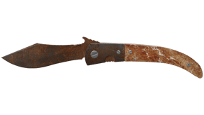 Rust Coat image