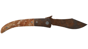 Rust Coat image