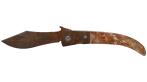 Rust Coat image