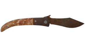 Rust Coat image